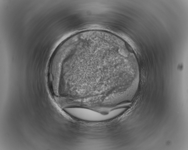 X0000096441142200802211204