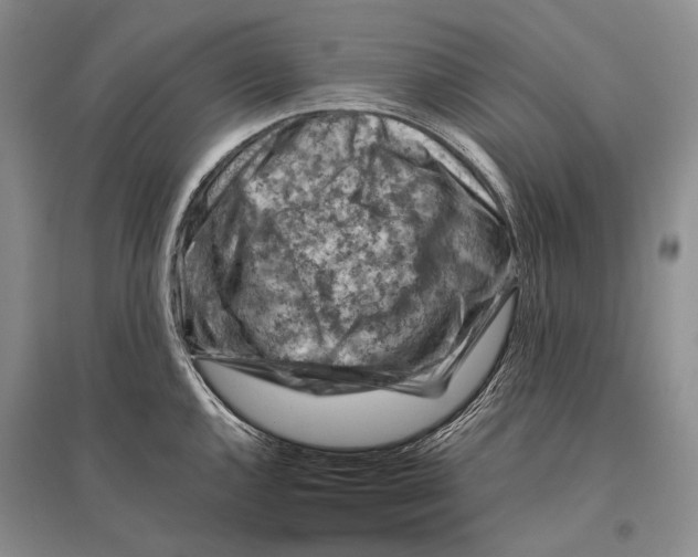 X0000096441144200802211204