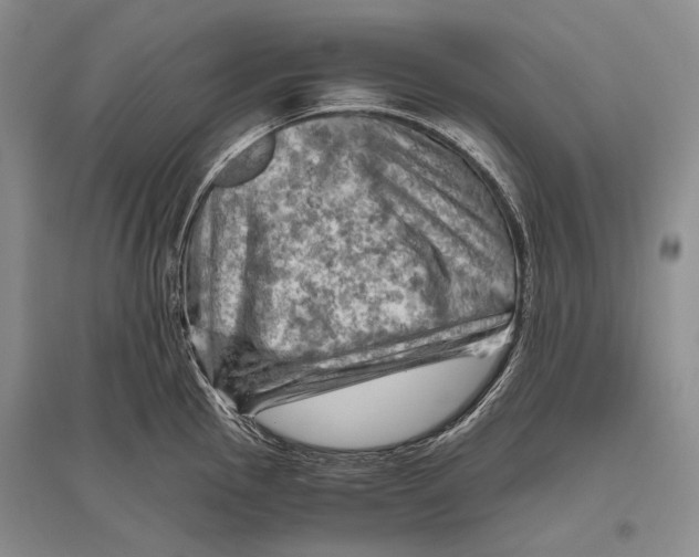 X0000096441145200802211204