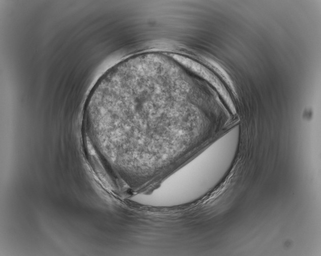 X0000096441146200802211204