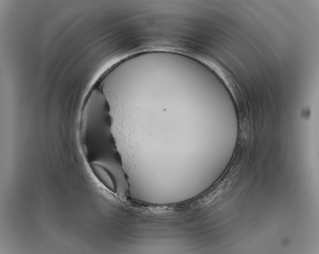 X0000096441147200802211204