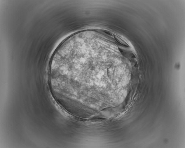 X0000096441148200802211204