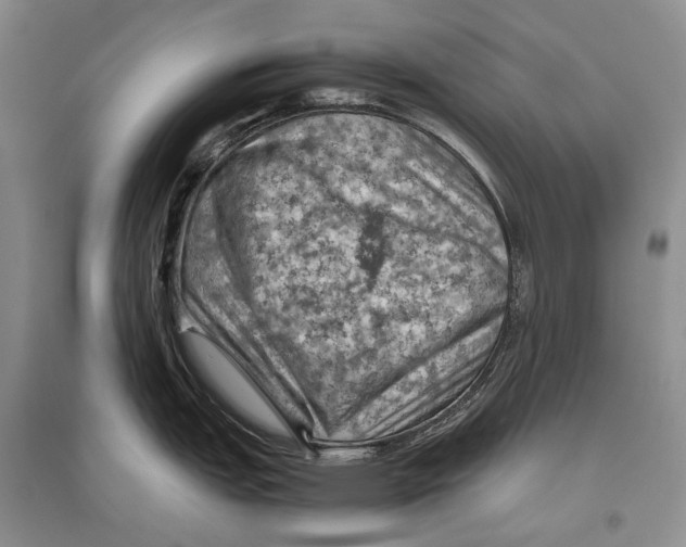 X0000096441151200802211204