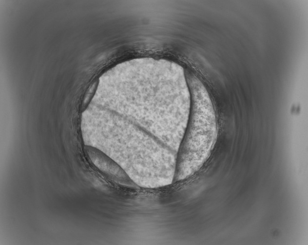 X0000096441153200802211203