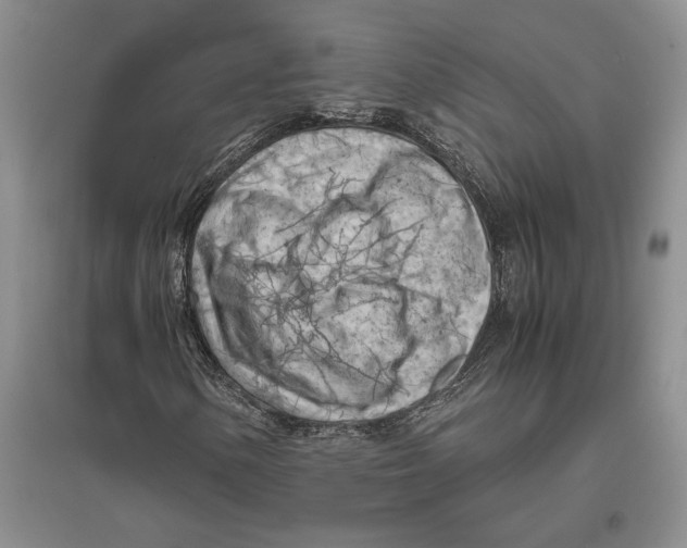 X0000096441154200802211203