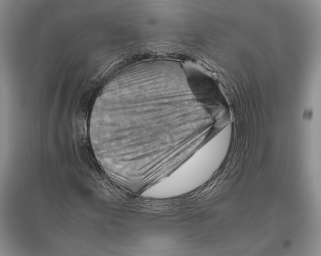 X0000096441155200802211203