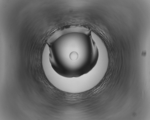 X0000096441156200802211203