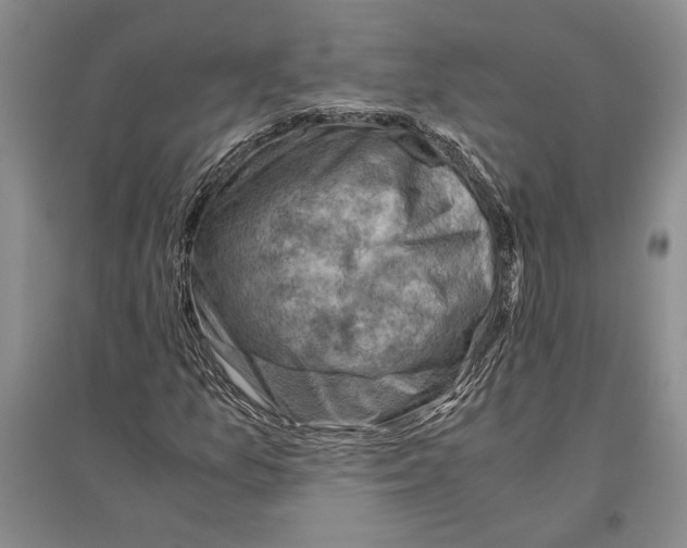 X0000096441157200802211203