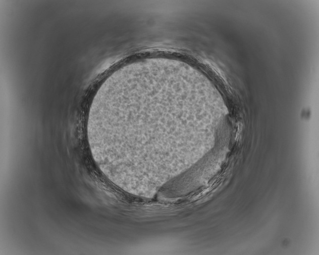 X0000096441159200802211203