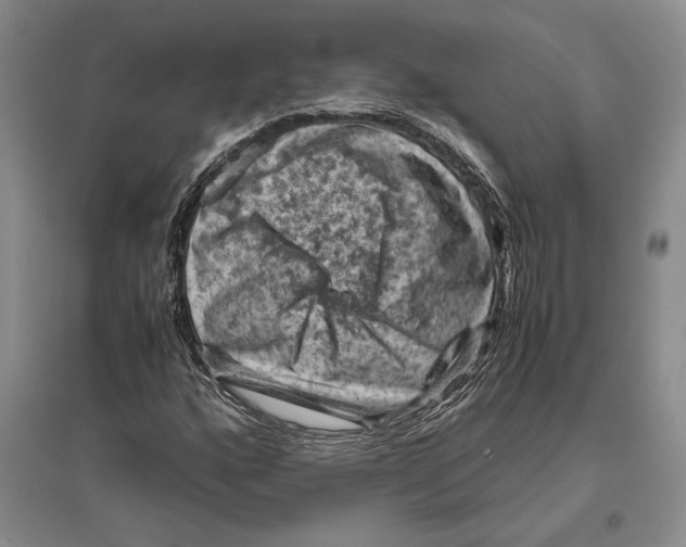 X0000096441160200802211203