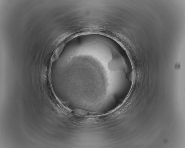 X0000096441161200802211203