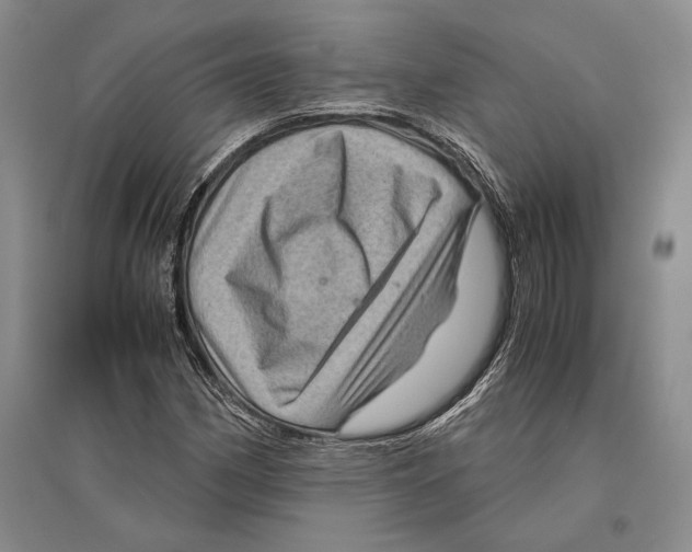 X0000096441162200802211203