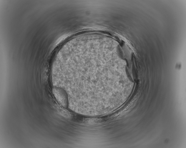 X0000096441163200802211203