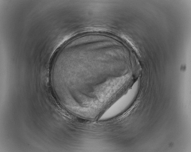 X0000096441165200802211203