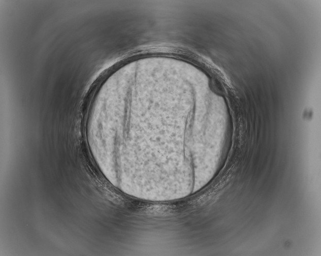 X0000096441166200802211203