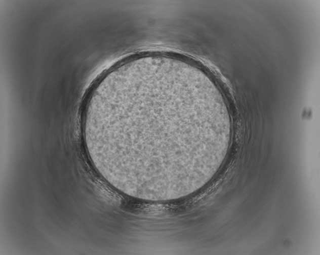 X0000096441167200802211203