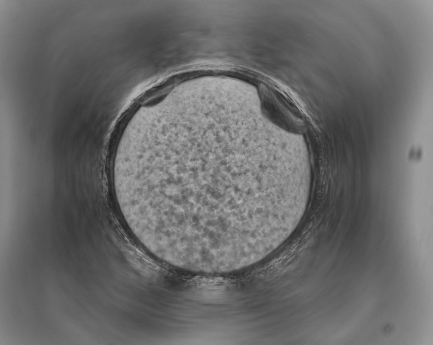 X0000096441168200802211203