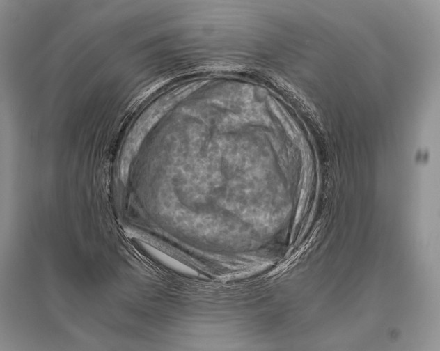 X0000096441169200802211203