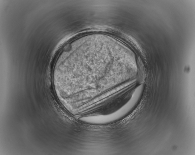 X0000096441172200802211203