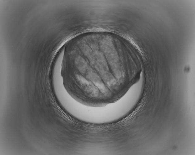 X0000096441173200802211203