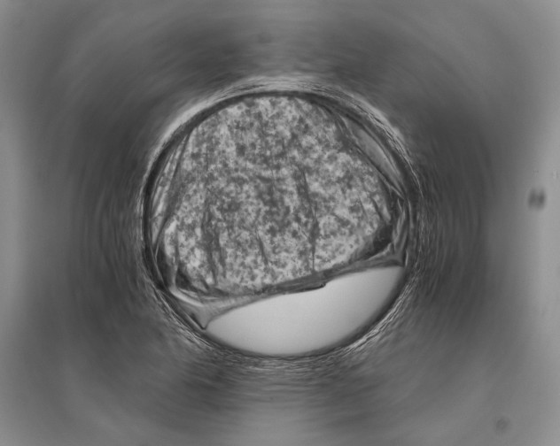 X0000096441174200802211203