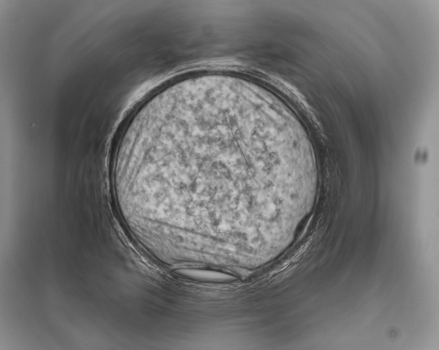 X0000096441176200802211203