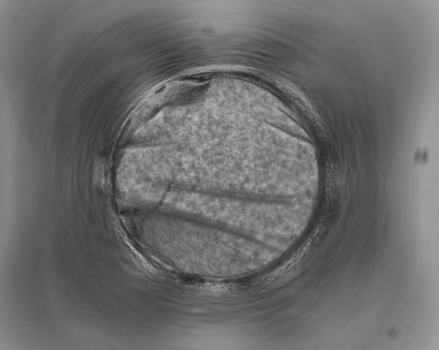 X0000096441177200802211203