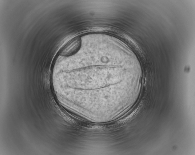 X0000096441178200802211203