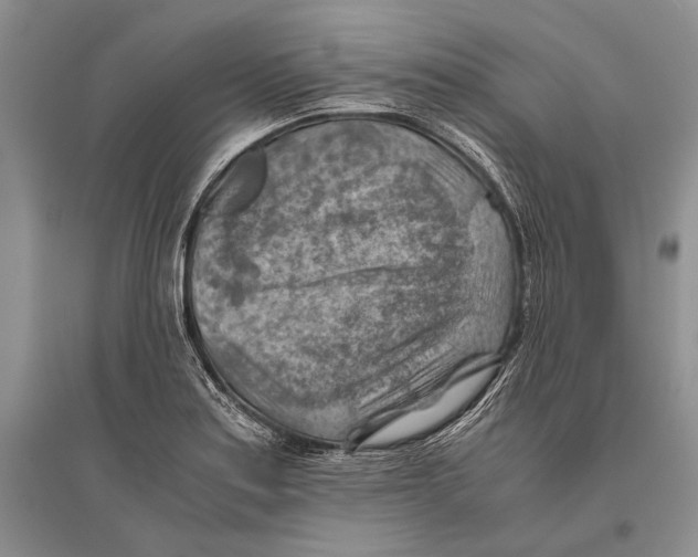 X0000096441179200802211203