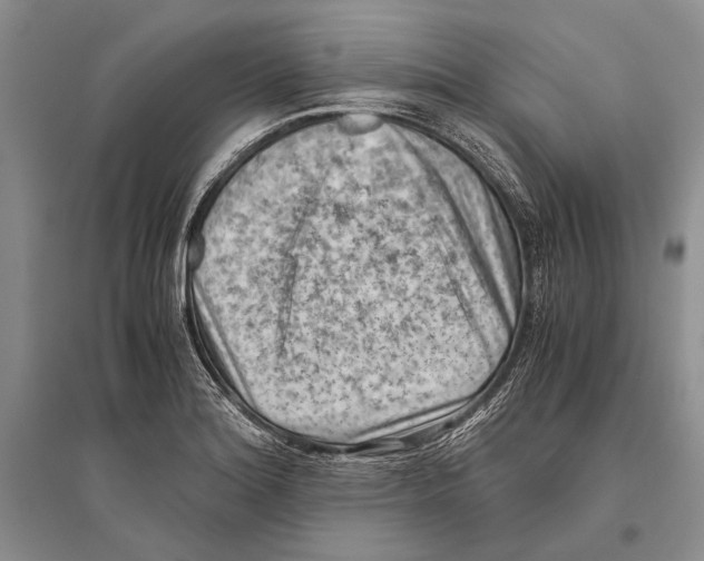 X0000096441180200802211203