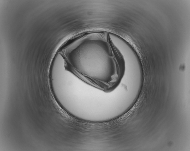 X0000096441181200802211203