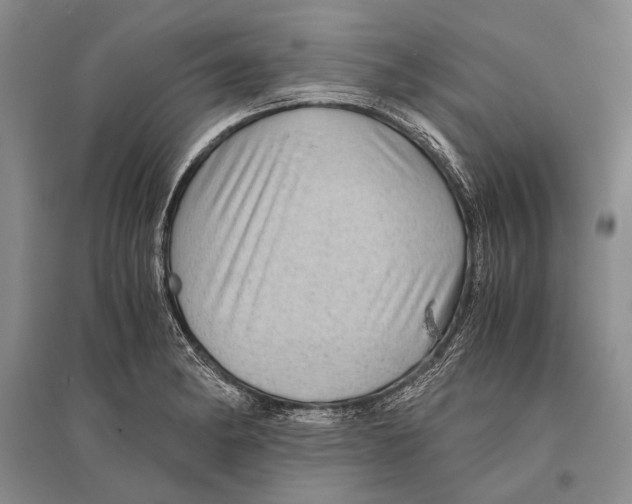 X0000096441182200802211203