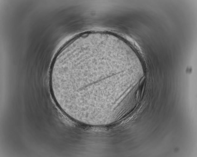 X0000096441183200802211203