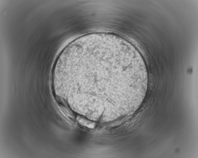 X0000096441187200802211203