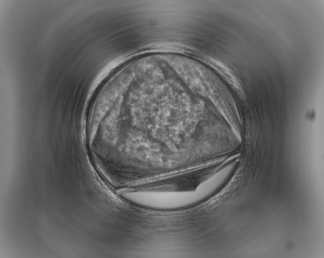 X0000096441188200802211203