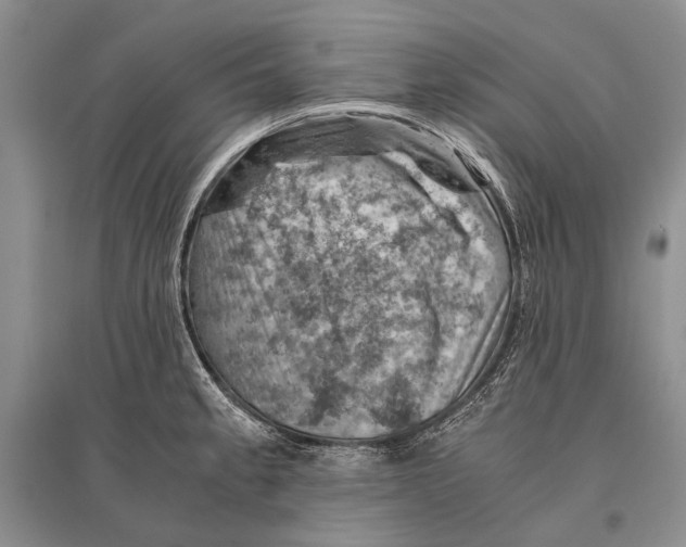 X0000096441189200802211203