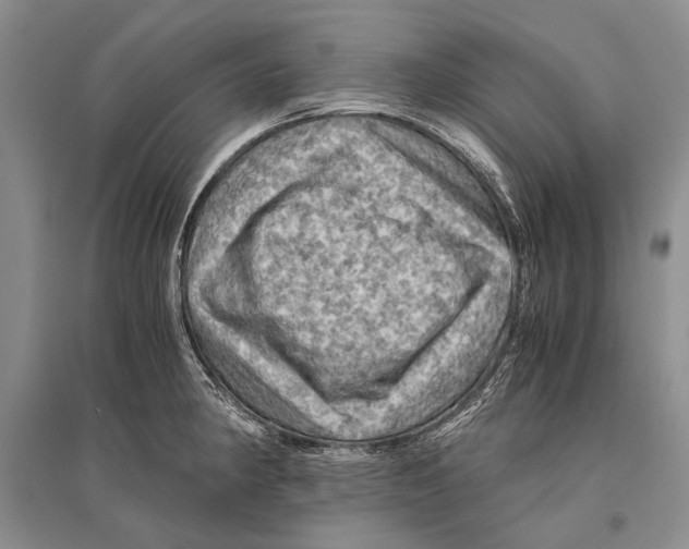 X0000096441190200802211203