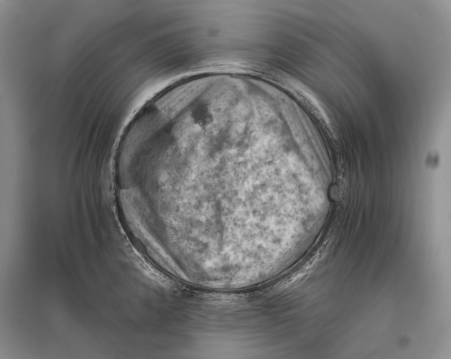 X0000096441192200802211203