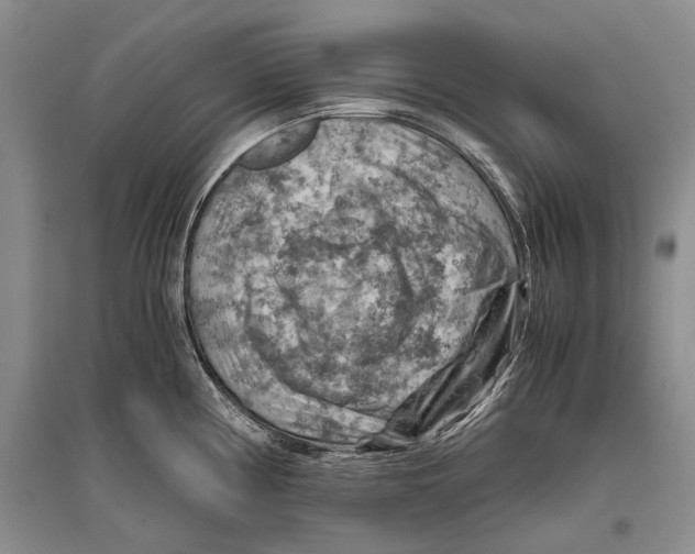 X0000096441194200802211203