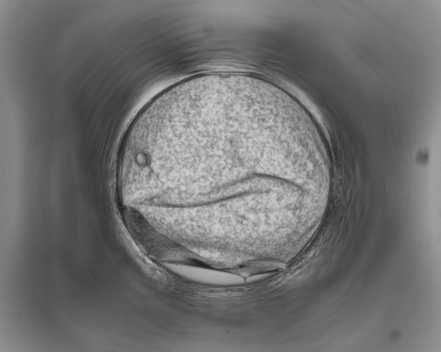 X0000096441195200802211203