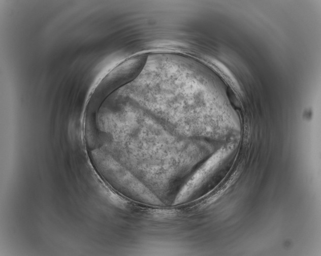 X0000096441196200802211203