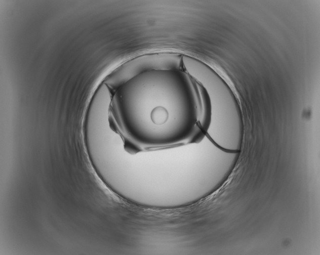 X0000096441197200802211203