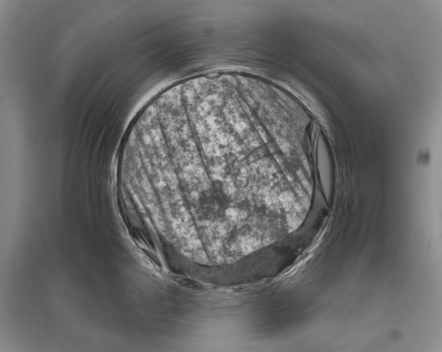 X0000096441198200802211203