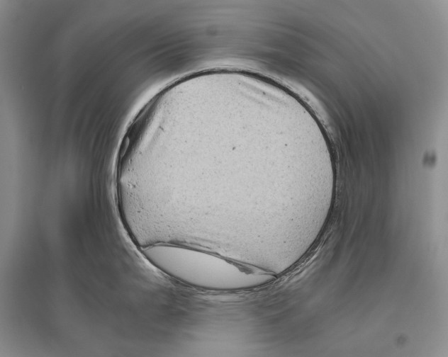 X0000096441199200802211203