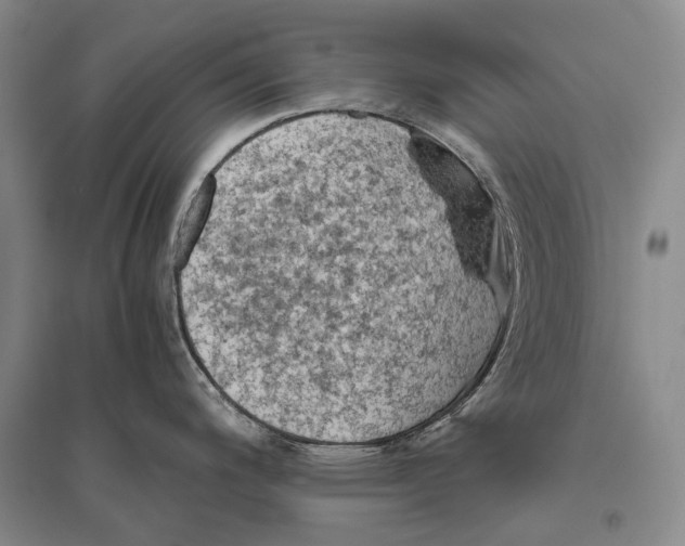 X0000096441200200802211203