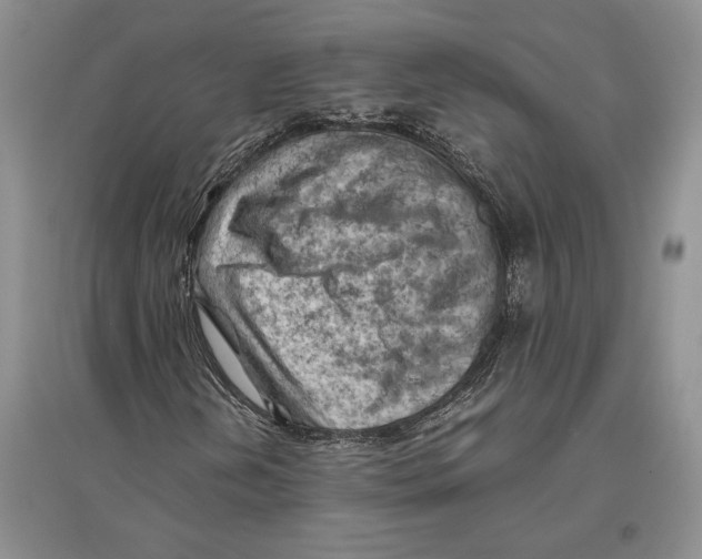 X0000096441202200802211202