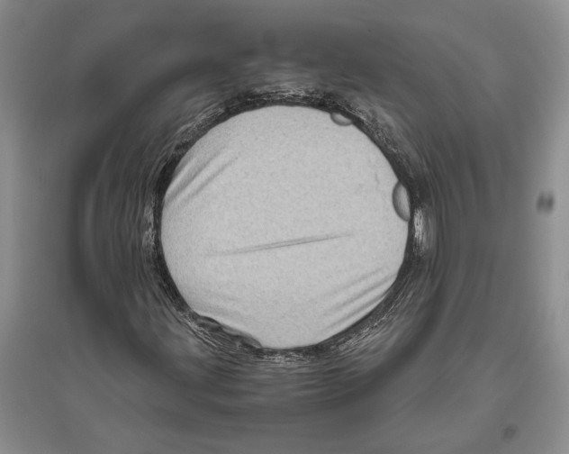 X0000096441203200802211202