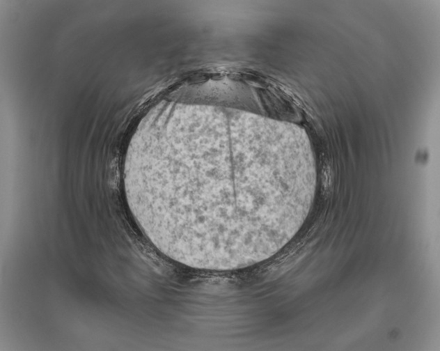 X0000096441204200802211202