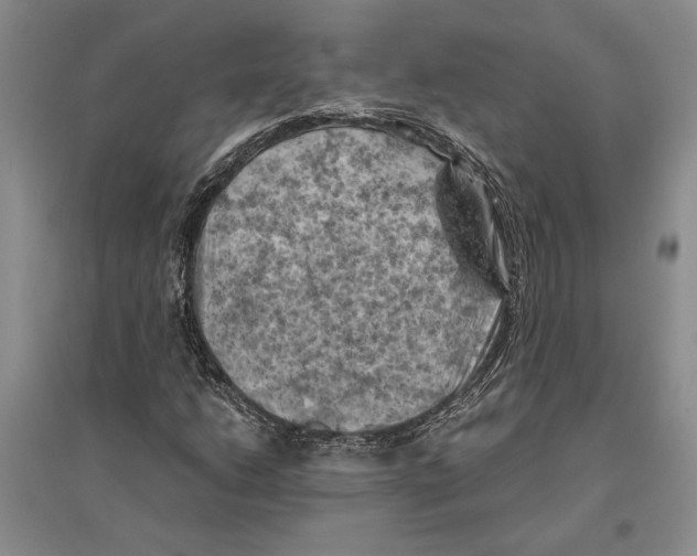 X0000096441206200802211202