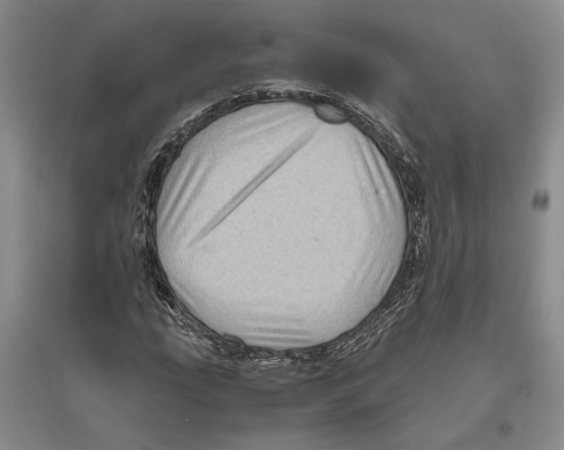 X0000096441207200802211202